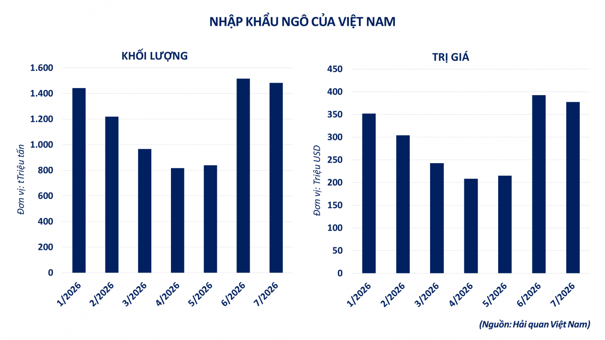 Thị trường hàng hóa: Giá nông sản đồng loạt tăng, kéo MXV-Index đảo chiều đi lên