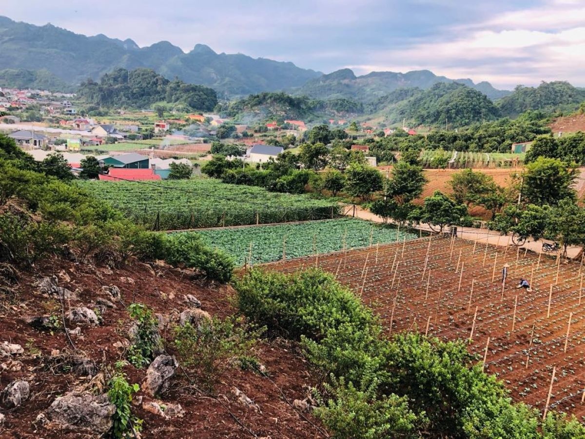 Mở rộng không gian giá trị từ đất đai ảnh: minh họa Mở rộng không gian giá trị từ đất đai ảnh: minh họa