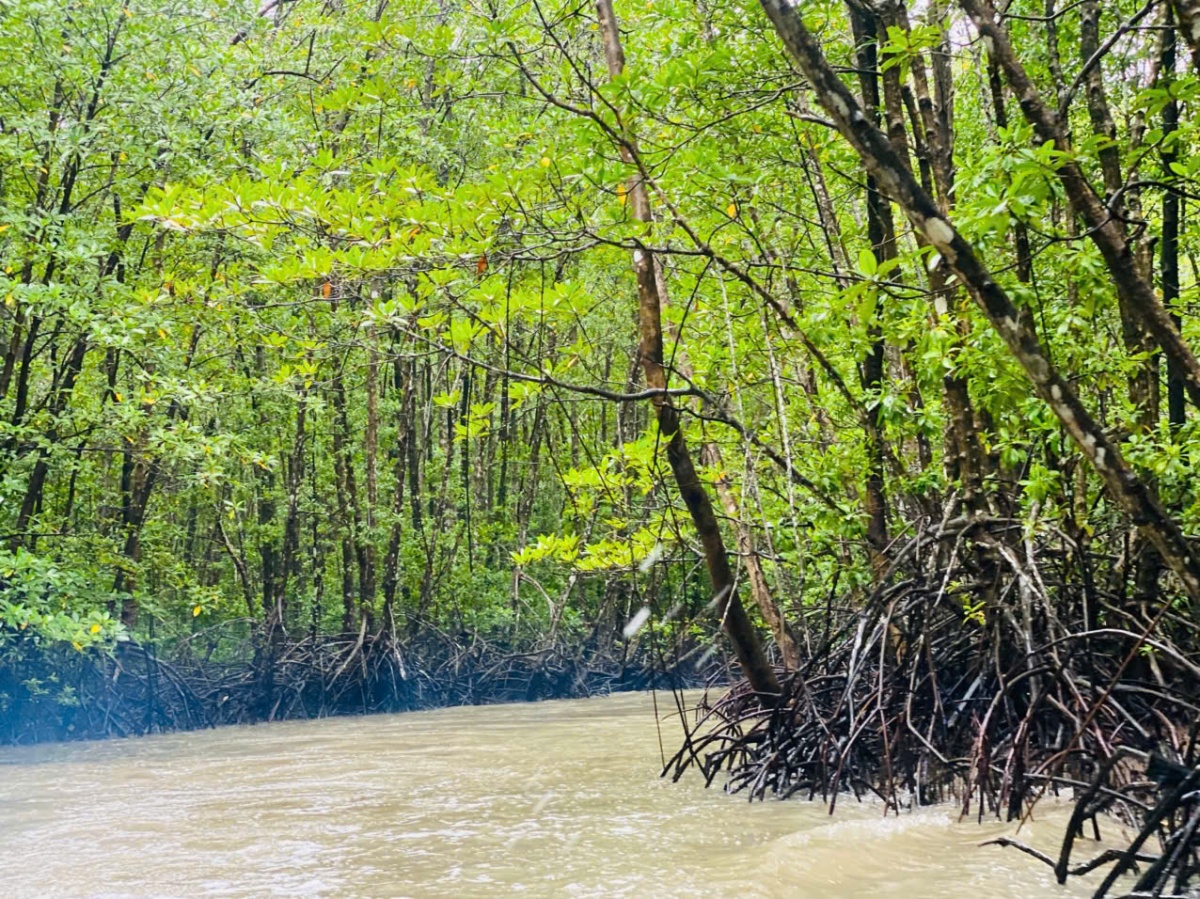 Về Đất Mũi Cà Mau, nghe đất trời kể chuyện phương Nam