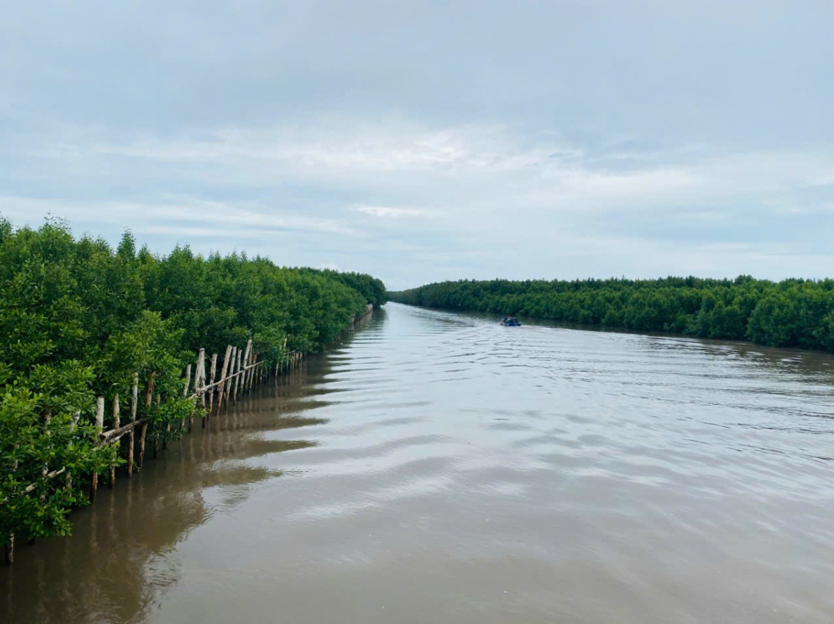 Về Đất Mũi Cà Mau, nghe đất trời kể chuyện phương Nam