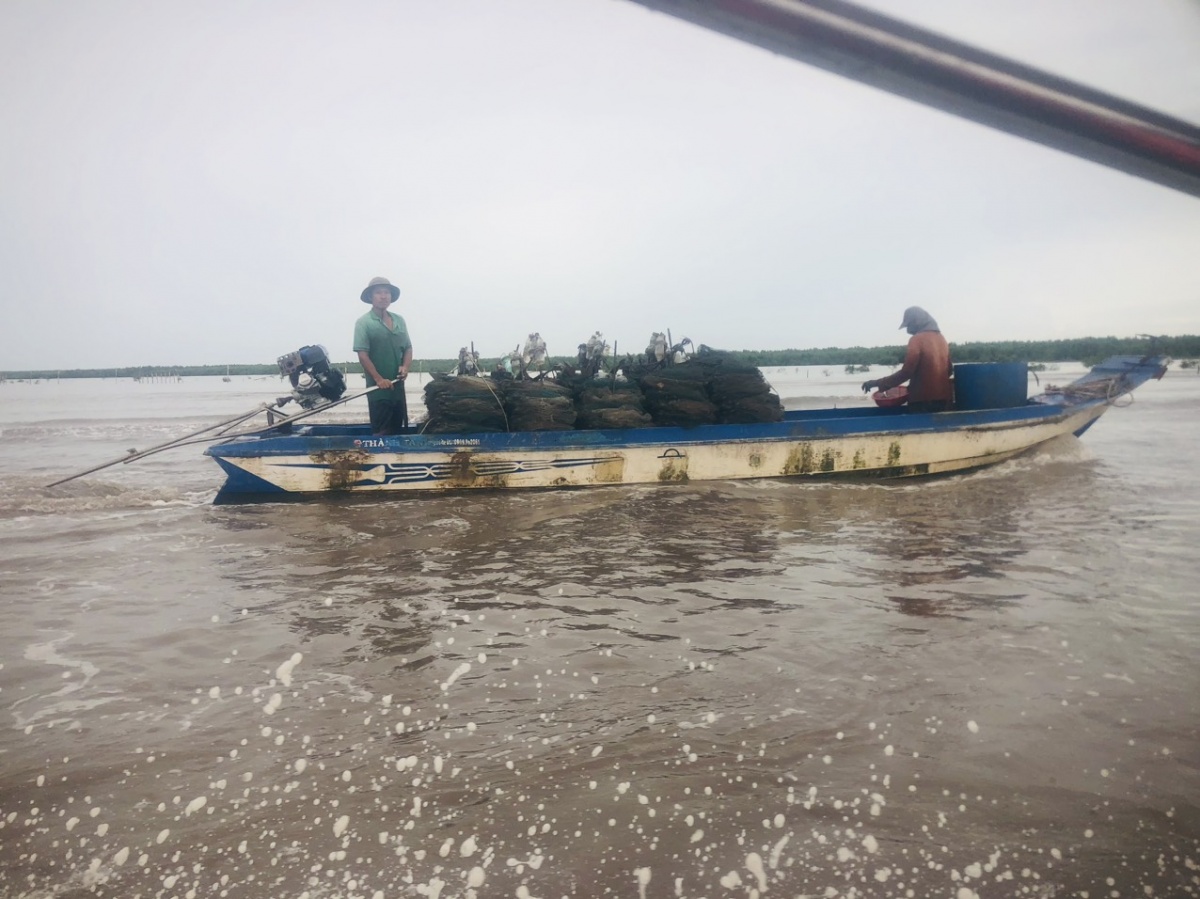 Về Đất Mũi Cà Mau, nghe đất trời kể chuyện phương Nam