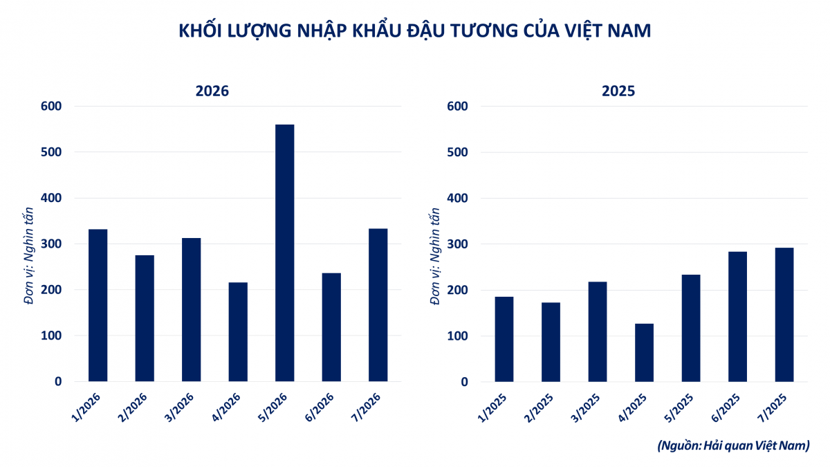 Thị trường hàng hóa: Sắc xanh bao phủ, MXV-Index tăng 60 điểm Thị trường hàng hóa: Sắc xanh bao phủ, MXV-Index tăng 60 điểm
