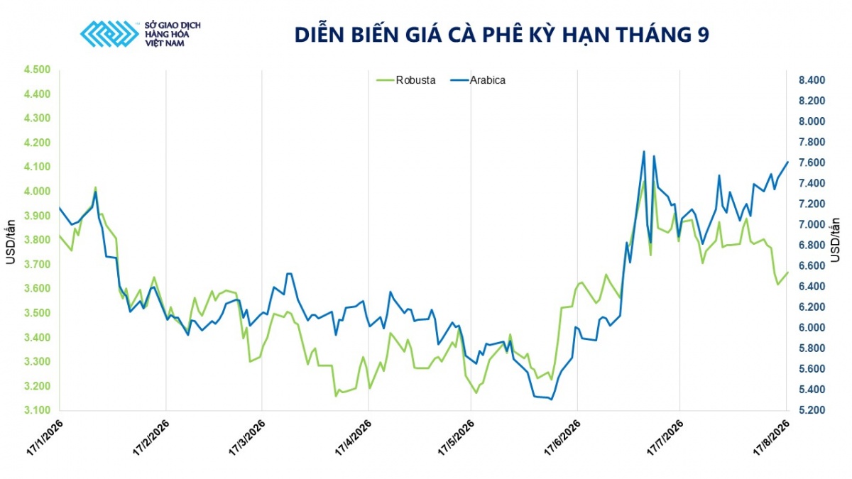 Thị trường hàng hóa: Sắc xanh bao phủ, MXV-Index tăng 60 điểm Thị trường hàng hóa: Sắc xanh bao phủ, MXV-Index tăng 60 điểm