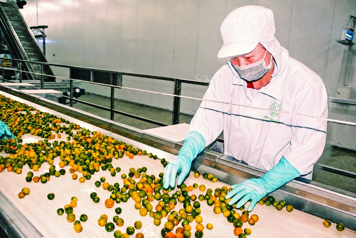 Nông nghiệp đô thị mở ra cơ hội cho tín dụng