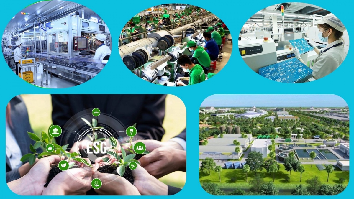 Thu thập dữ liệu ESG mới chỉ là bước khởi đầu. Năng lực phân tích và khai thác sâu các chỉ số này mới là 'chìa khóa' giúp doanh nghiệp chuyển đổi xanh hiệu quả và tránh bẫy 'tẩy xanh Thu thập dữ liệu ESG mới chỉ là bước khởi đầu. Năng lực phân tích và khai thác sâu các chỉ số này mới là 'chìa khóa' giúp doanh nghiệp chuyển đổi xanh hiệu quả và tránh bẫy 'tẩy xanh