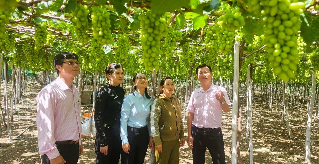 Thêm nguồn lực từ ngân sách địa phương, góp phần để tín dụng chính sách phát huy hiệu quả ở Khánh Hòa. Thêm nguồn lực từ ngân sách địa phương, góp phần để tín dụng chính sách phát huy hiệu quả ở Khánh Hòa.