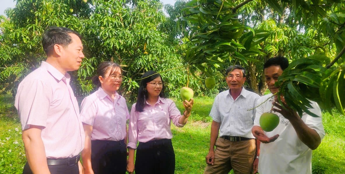 Tín dụng chính sách ngày càng phát huy rõ nét vai trò của mình ở Khánh Hòa. Tín dụng chính sách ngày càng phát huy rõ nét vai trò của mình ở Khánh Hòa.
