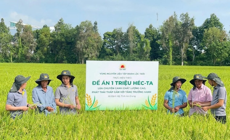 Hơn 100 triệu cổ phiếu LTG bị hủy đăng ký giao dịch trên UPCoM