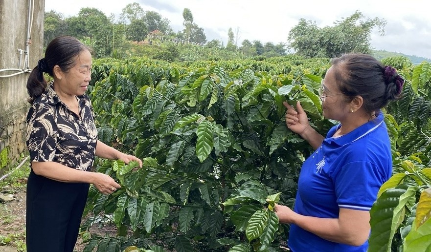 Bà Phùng Thị Liên (phải), ở thôn Đạ R’Kốh, xã Phú Sơn Lâm Hà, gần 20 năm đồng hành với NHCSXH trong vai trò Tổ trưởng Tổ TK&VV. Bà Phùng Thị Liên (phải), ở thôn Đạ R’Kốh, xã Phú Sơn Lâm Hà, gần 20 năm đồng hành với NHCSXH trong vai trò Tổ trưởng Tổ TK&VV.