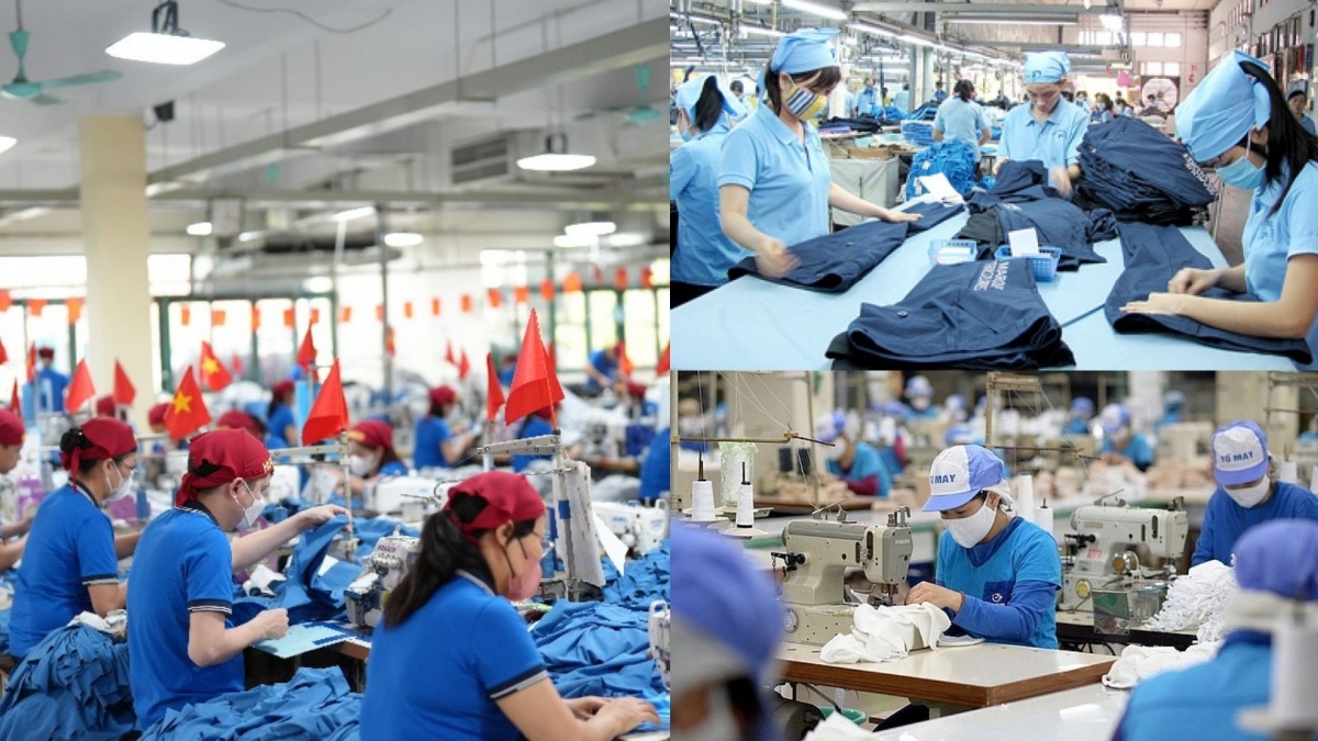 Hoạt động kinh doanh khởi sắc và đỉnh lợi nhuận mới giúp Vinatex trở thành 'khối tài sản' hấp dẫn trước thềm SCIC thoái toàn bộ vốn