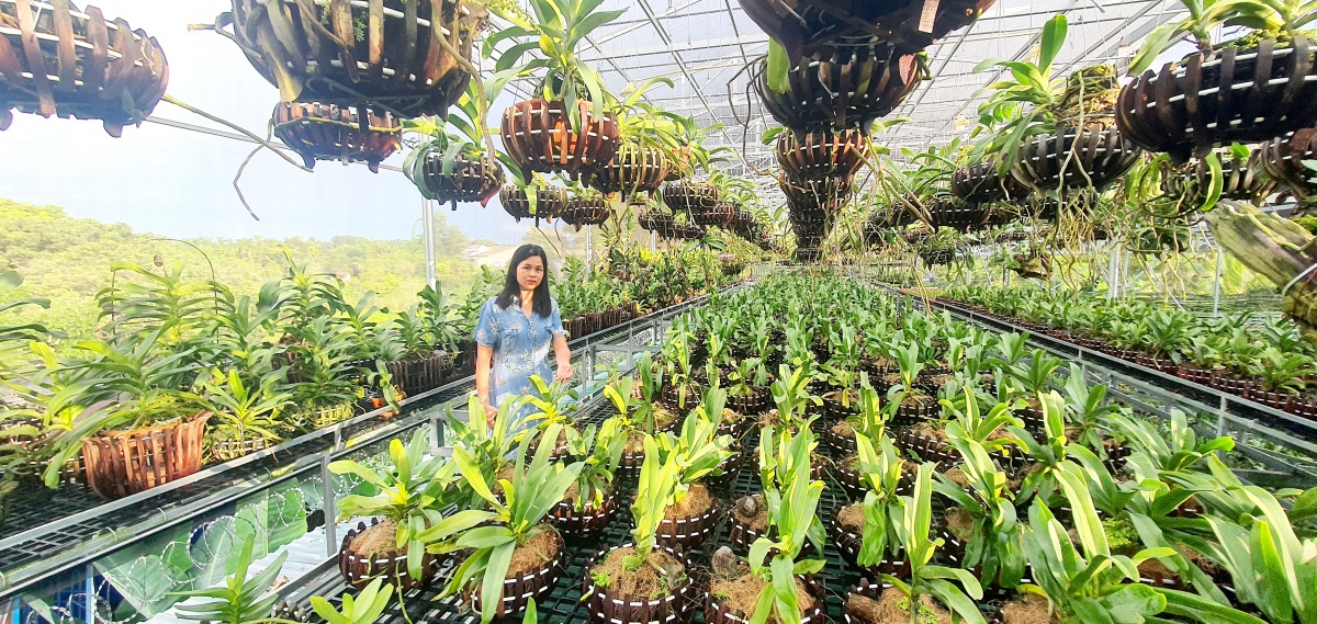 Đà Nẵng gỡ điểm nghẽn đất đai, mở đường cho nguồn lực phát triển