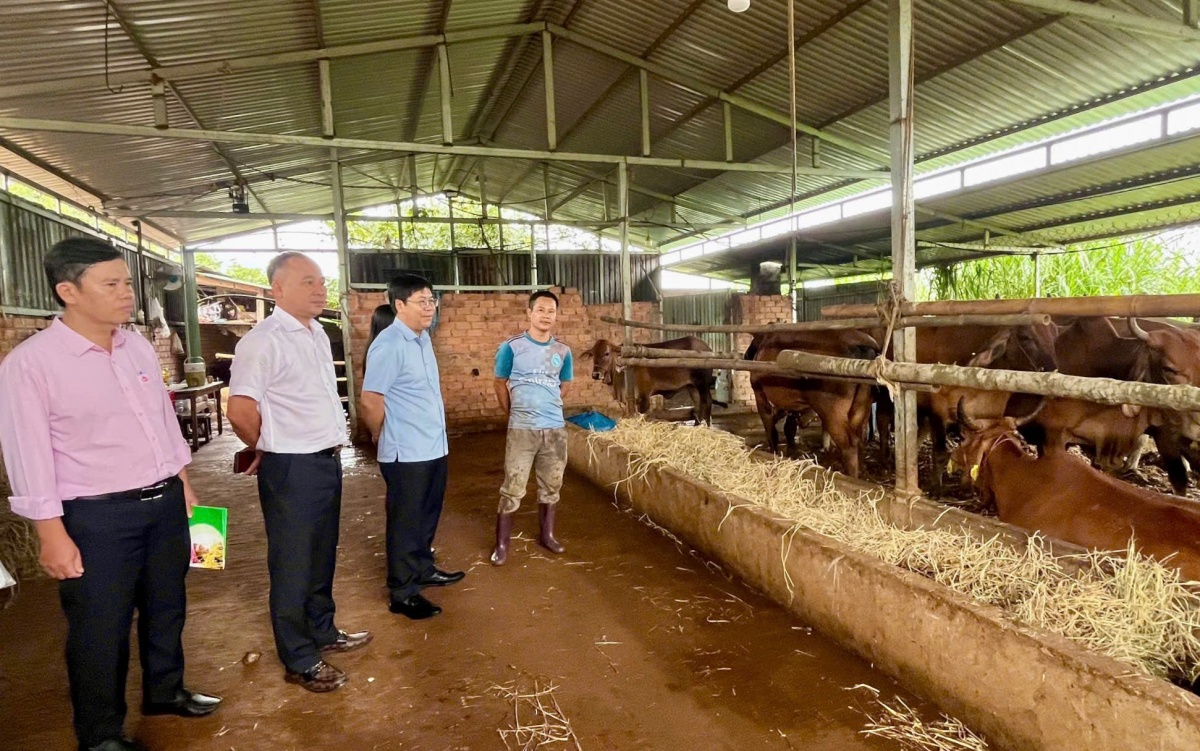 Từ việc mở rộng đối tượng đến chủ động bổ sung nguồn lực, cách làm của Lâm Đồng giúp tín dụng chính sách bao phủ thêm những nhu cầu phát sinh từ thực tiễn. Từ việc mở rộng đối tượng đến chủ động bổ sung nguồn lực, cách làm của Lâm Đồng giúp tín dụng chính sách bao phủ thêm những nhu cầu phát sinh từ thực tiễn.