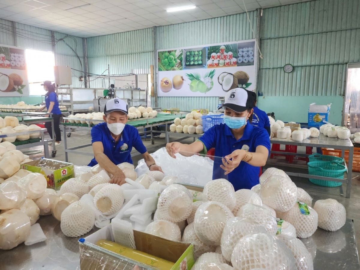 Xuất khẩu nông lâm thủy sản tăng 7%, thị trường phân hóa mạnh