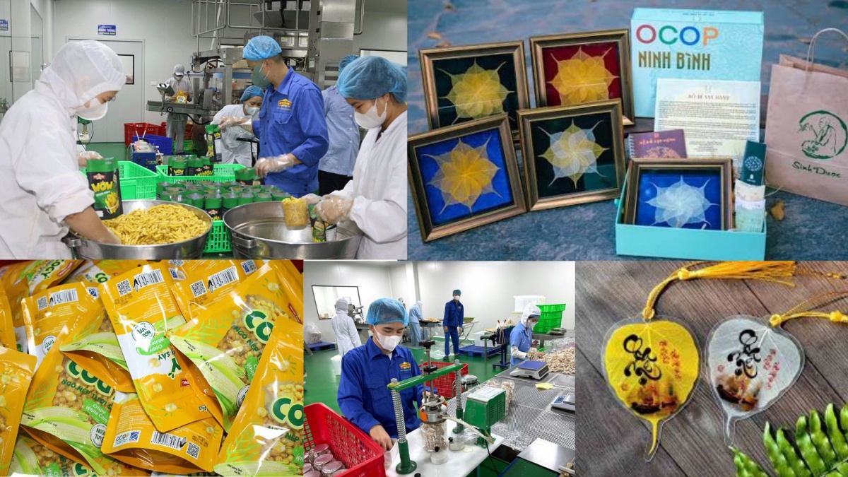 Đầu tư công nghệ chế biến sâu – 'chìa khóa' giúp nông sản Ninh Bình tự tin vươn ra thế giới