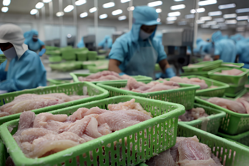 Nguồn cá tự nhiên suy giảm, mở “cửa lớn” cho cá tra Việt Nam ra thế giới