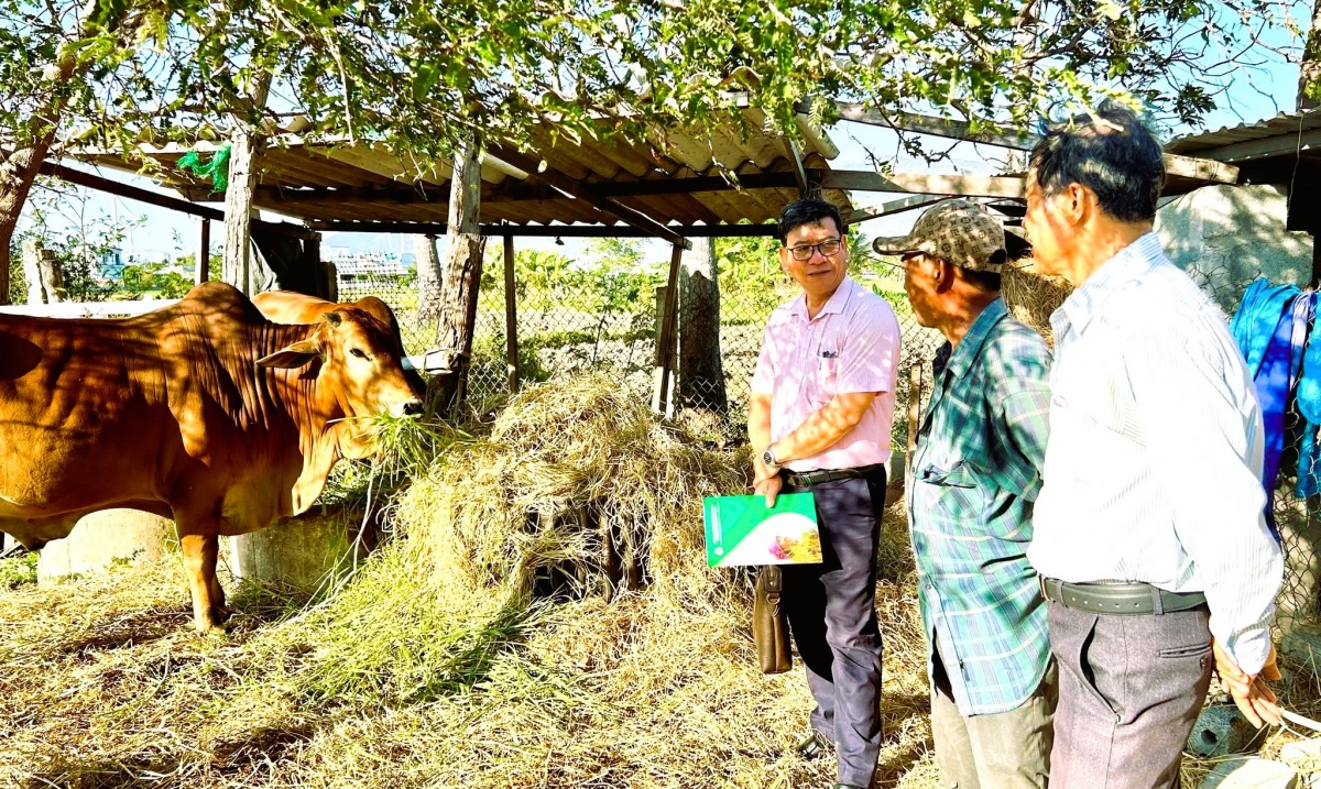 Từ những khoản vay ưu đãi được đưa về tận thôn, xã, nhiều hộ nghèo và đồng bào dân tộc thiểu số ở Khánh Hòa đã có thêm điều kiện phát triển sản xuất, ổn định sinh kế. Từ những khoản vay ưu đãi được đưa về tận thôn, xã, nhiều hộ nghèo và đồng bào dân tộc thiểu số ở Khánh Hòa đã có thêm điều kiện phát triển sản xuất, ổn định sinh kế.