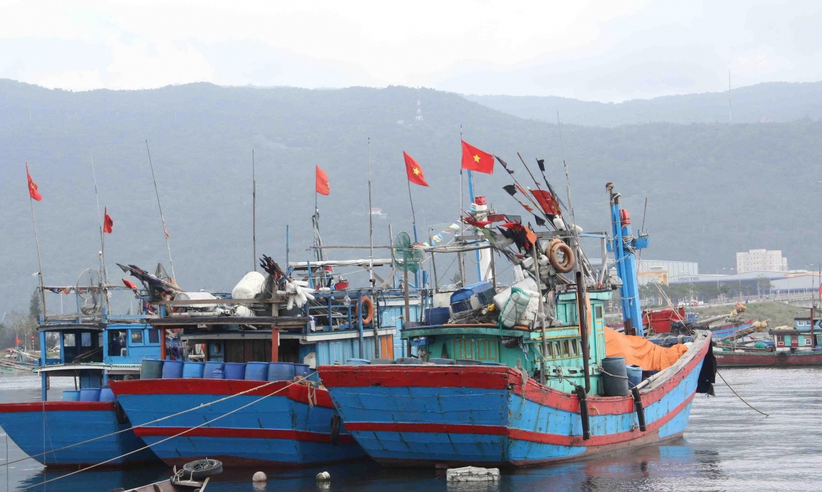 Tăng tốc chống khai thác IUU, siết chặt đội tàu Tăng tốc chống khai thác IUU, siết chặt đội tàu