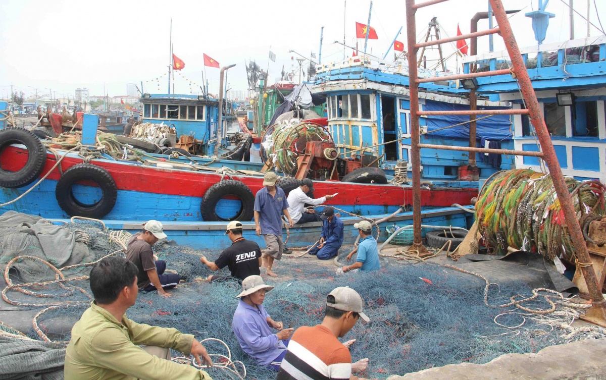 Tăng tốc chống khai thác IUU, siết chặt đội tàu Tăng tốc chống khai thác IUU, siết chặt đội tàu