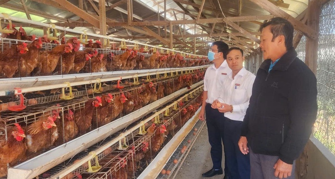 Các TCTD ở Lâm Đồng triển khai nhiều nhằm tìm kiếm nguồn vốn chi phí thấp, giảm chi phí đầu vào và dành thêm các chương trình tín dụng ưu đãi cho doanh nghiệp, hộ kinh doanh…