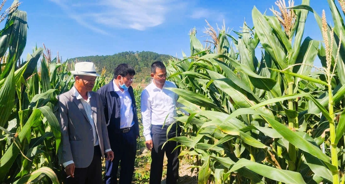 Biến động giá nông sản, thời tiết bất lợi, thiên tai, dịch bệnh và chi phí vật tư đầu vào cao ảnh hưởng trực tiếp đến hiệu quả sản xuất, dòng tiền cũng như khả năng trả nợ.