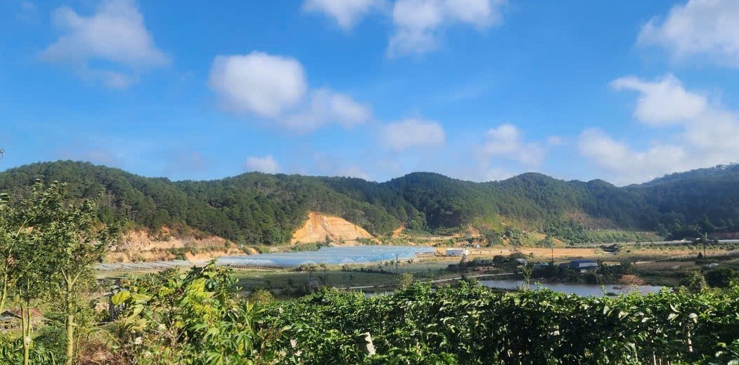 Cần tăng cường cung cấp thông tin về quy hoạch phát triển, danh mục dự án kêu gọi đầu tư và nhu cầu vay vốn của doanh nghiệp cho hệ thống ngân hàng