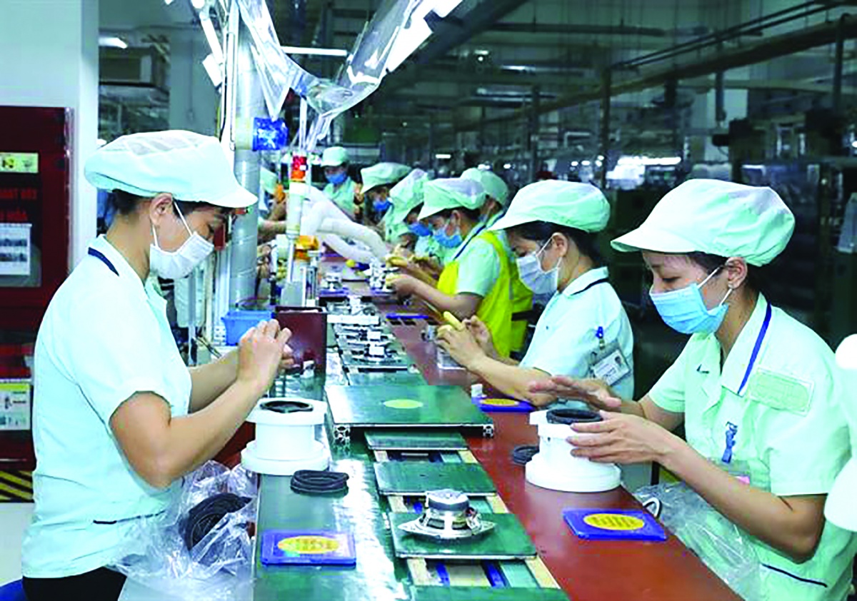 Doanh nghiệp bước vào cuộc chọn lọc đơn hàng
