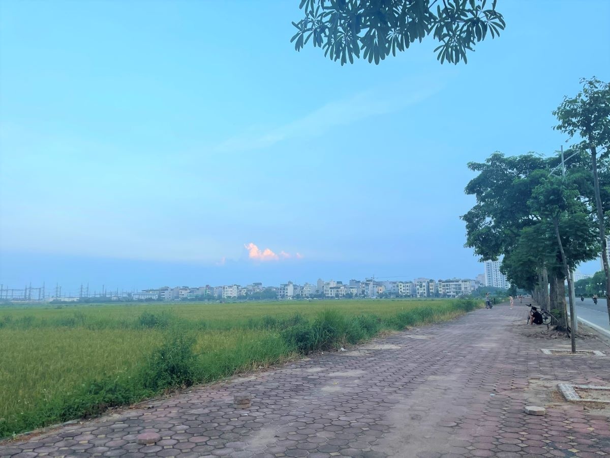Sửa Luật Đất đai lần này đặt trọng tâm đổi tư duy quản lý, tháo gỡ vướng mắc giá đất Sửa Luật Đất đai lần này đặt trọng tâm đổi tư duy quản lý, tháo gỡ vướng mắc giá đất