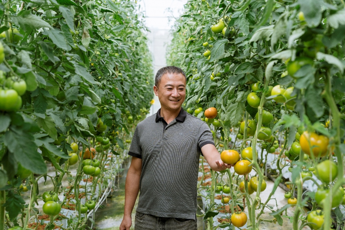 Khách hàng của BIDV với mô hình nông nghiệp hữu cơ tại Lâm Hà Khách hàng của BIDV với mô hình nông nghiệp hữu cơ tại Lâm Hà
