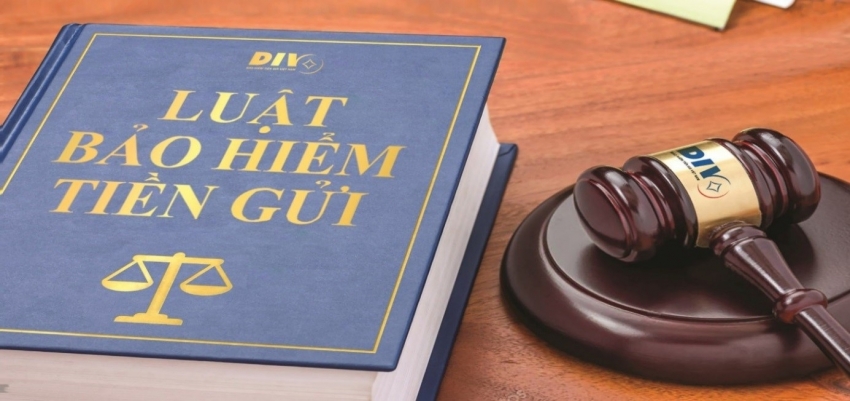 Luật Bảo hiểm tiền gửi - Nguồn: p.gov.vn) Luật Bảo hiểm tiền gửi - Nguồn: p.gov.vn)
