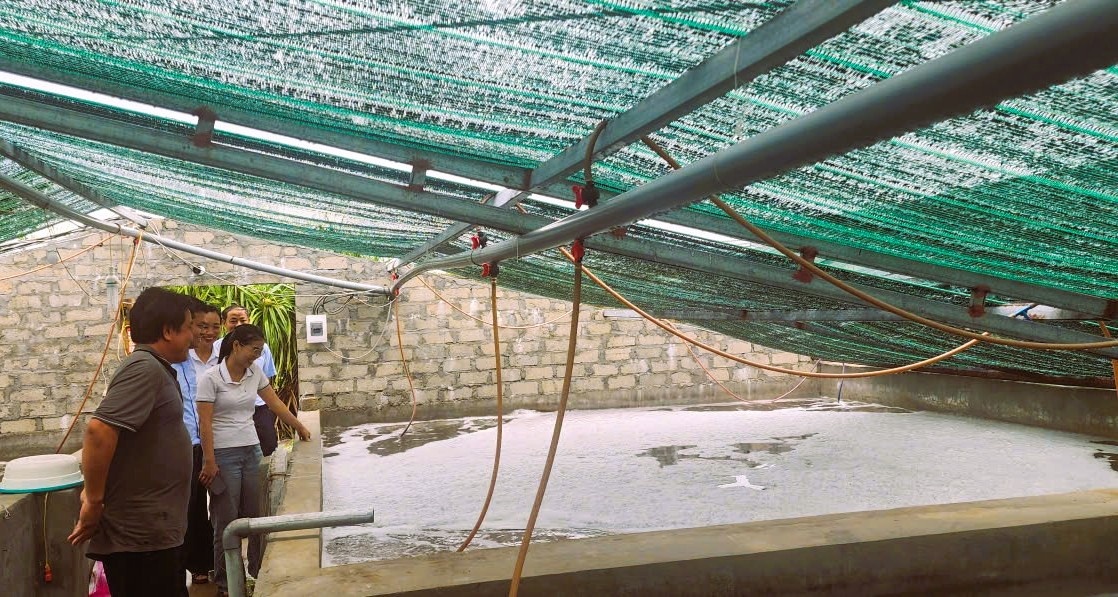 Mô hình vay vốn từ QUTND đầu tư chăn nuôi ở xã Thiên Cầm (Hà Tĩnh) Mô hình vay vốn từ QUTND đầu tư chăn nuôi ở xã Thiên Cầm (Hà Tĩnh)