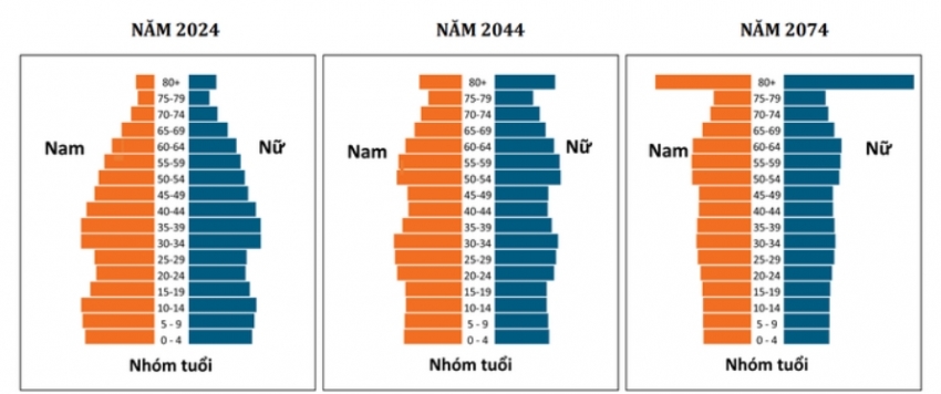 Nguồn: Cục Thống kê (2025) Nguồn: Cục Thống kê (2025)