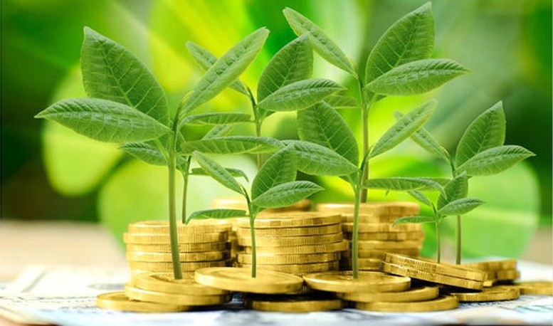 Thu hút FDI bền vững qua mô hình ngân hàng xanh: Kinh nghiệm từ Trung Quốc và hàm ý chính sách cho Việt Nam