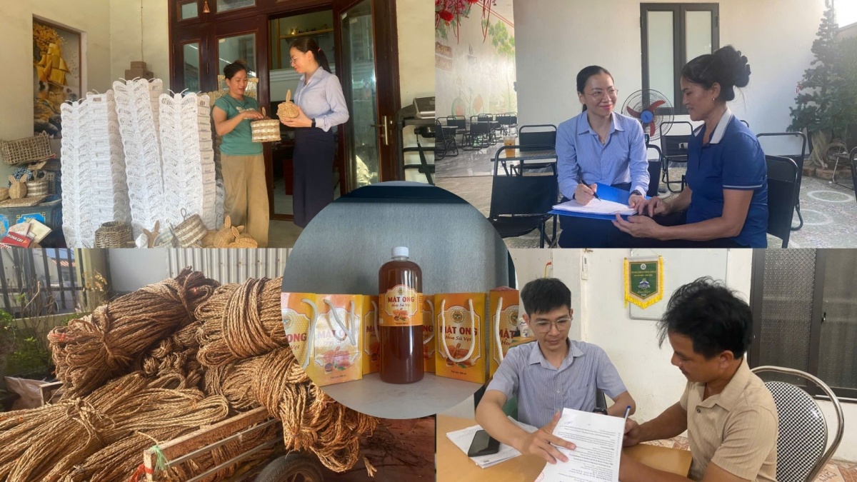 Nguồn vốn vi mô tiếp sức phụ nữ phát triển sinh kế, nâng cao thu nhập Nguồn vốn vi mô tiếp sức phụ nữ phát triển sinh kế, nâng cao thu nhập