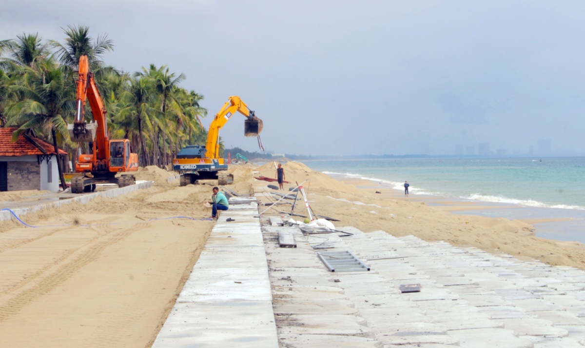 Hồi sinh bờ biển Hội An sau những mùa biển dữ Hồi sinh bờ biển Hội An sau những mùa biển dữ
