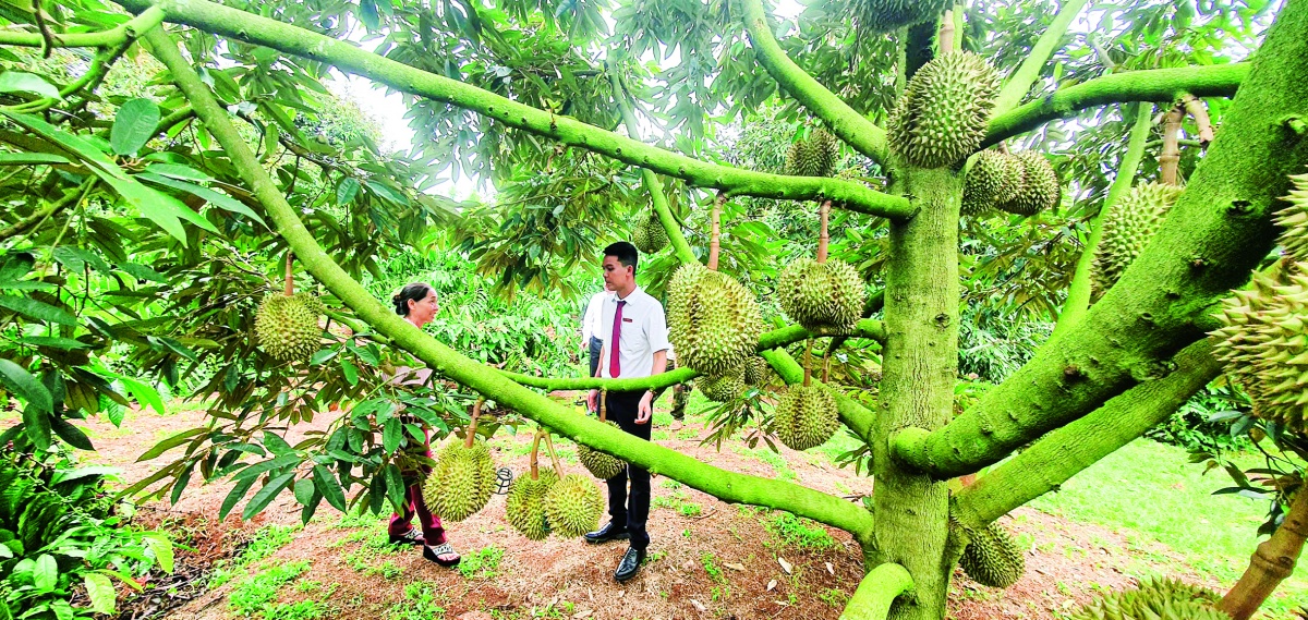 Giữ nhịp lãi suất, khơi thông dòng vốn cho nền kinh tế Giữ nhịp lãi suất, khơi thông dòng vốn cho nền kinh tế