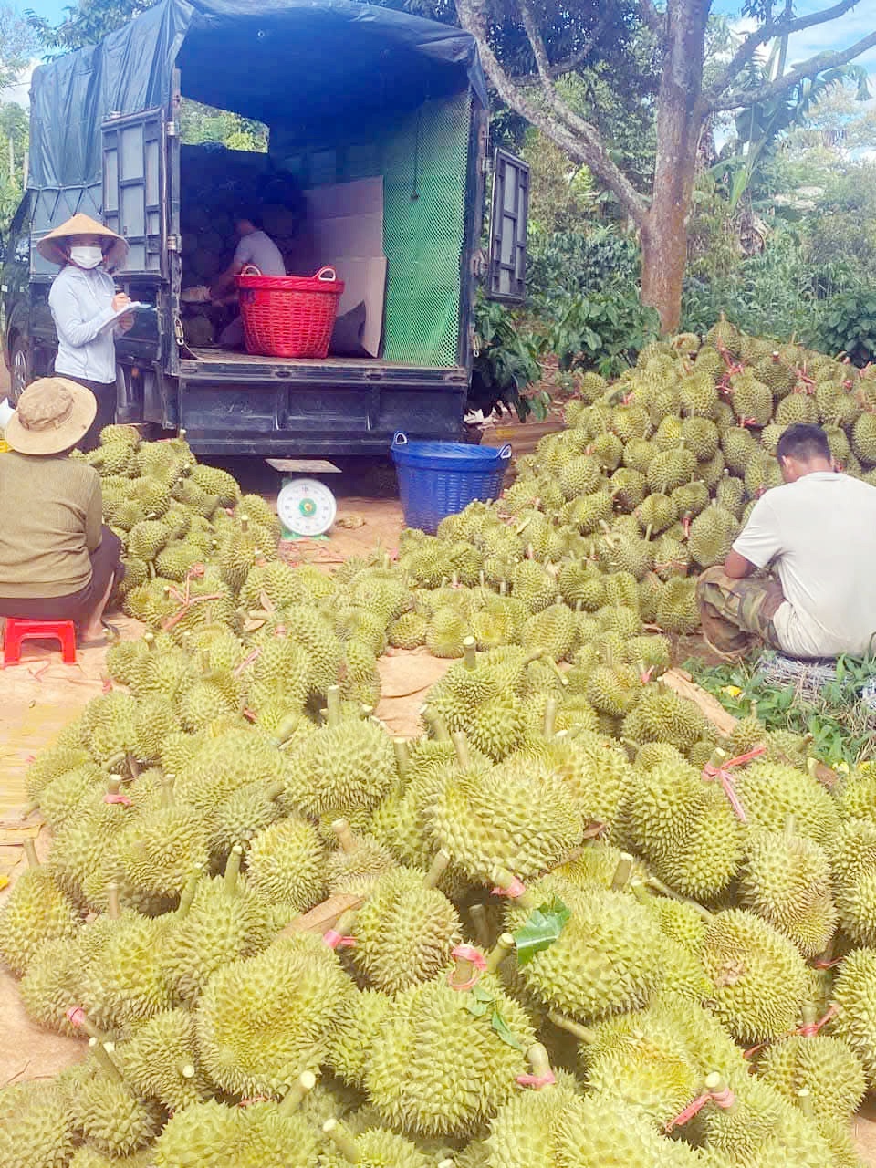 Xuất nhập khẩu 2026: Đằng sau những con số tăng trưởng