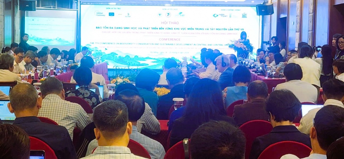 Hội thảo “Bảo tồn đa dạng sinh học và phát triển bền vững khu vực miền Trung và Tây Nguyên” lần thứ VII với chủ đề “Hợp tác đa bên trong phát triển kinh tế xanh, kinh tế tuần hoàn gắn với bảo tồn đa dạng sinh học”. Hội thảo “Bảo tồn đa dạng sinh học và phát triển bền vững khu vực miền Trung và Tây Nguyên” lần thứ VII với chủ đề “Hợp tác đa bên trong phát triển kinh tế xanh, kinh tế tuần hoàn gắn với bảo tồn đa dạng sinh học”.