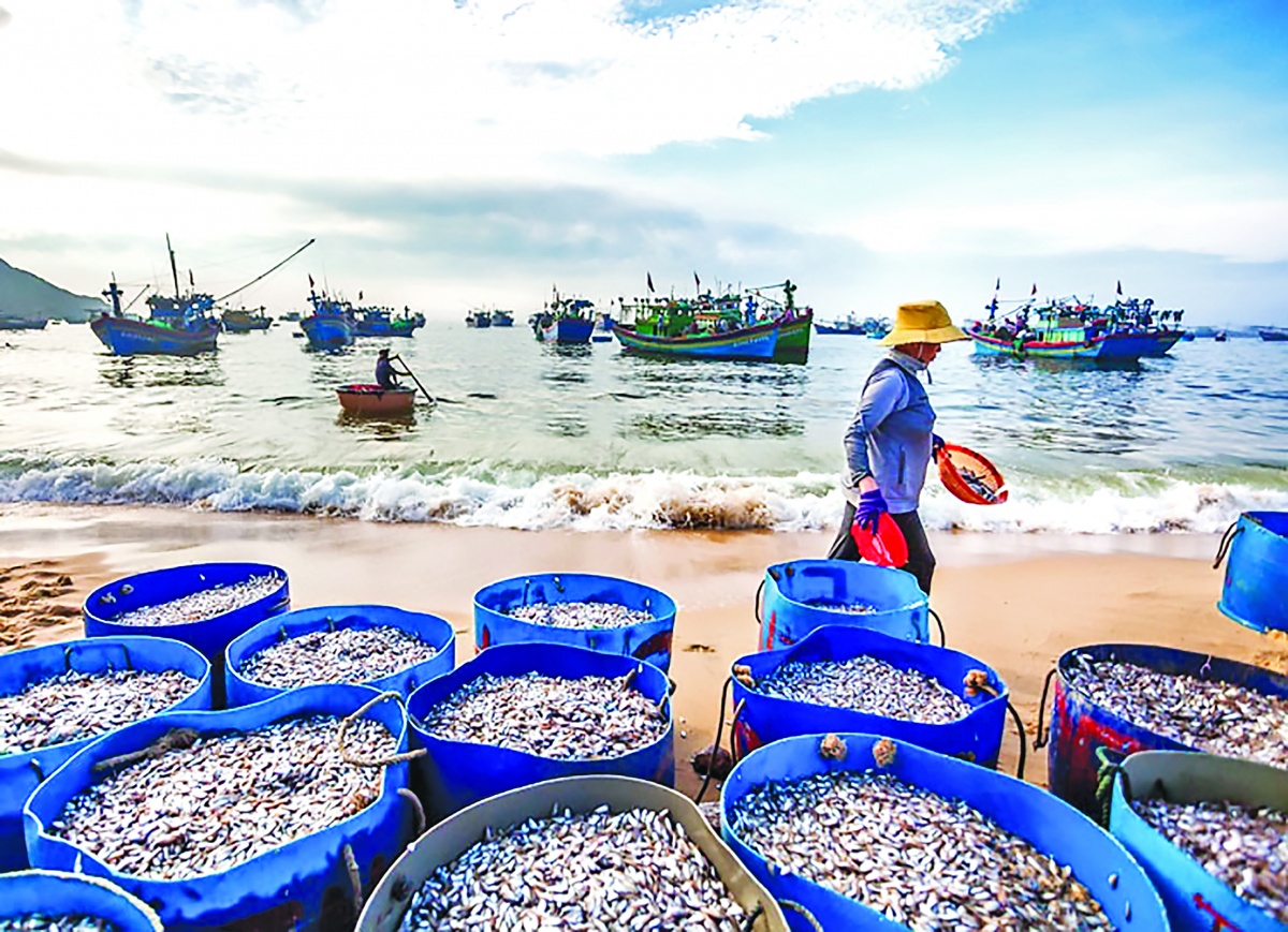 Mở không gian biển để dòng vốn ra khơi Mở không gian biển để dòng vốn ra khơi