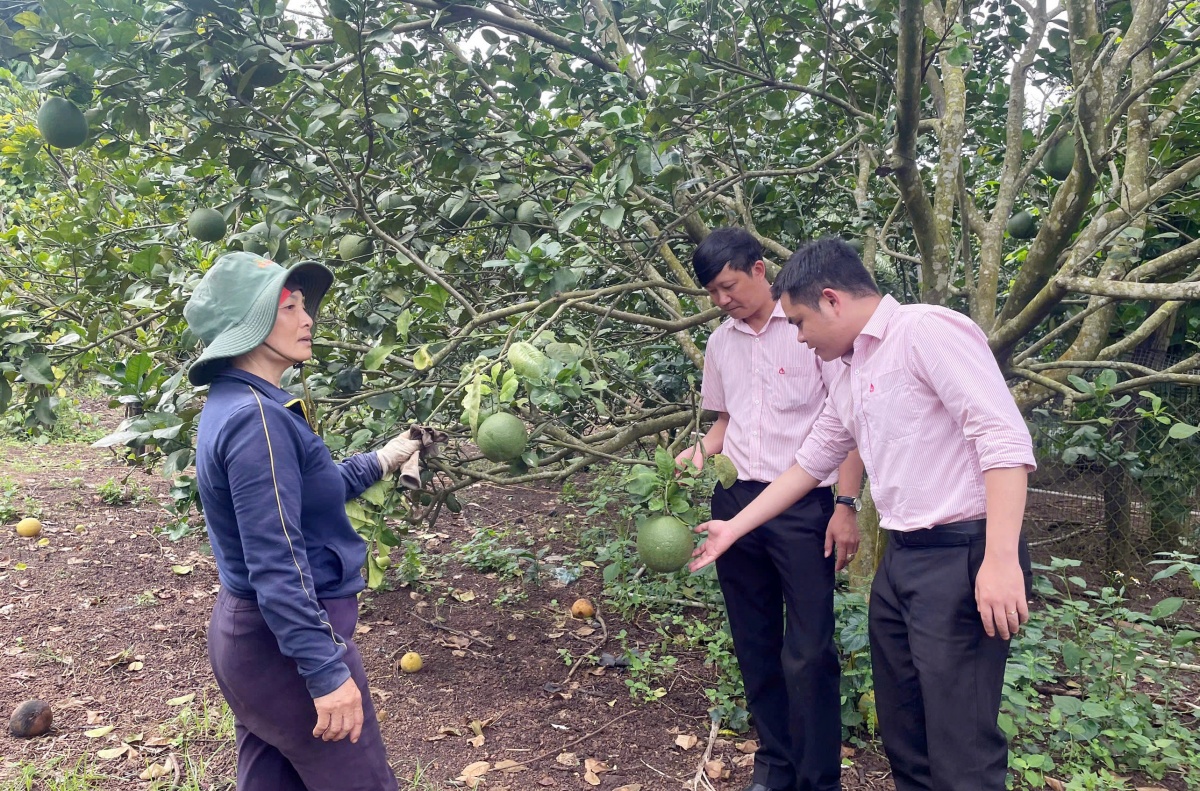 Tín dụng chính sách tiếp sức người nghèo vươn lên ổn định cuộc sống