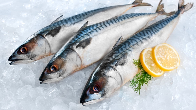 7 loài cá quen thuộc giàu omega-3 không kém cá hồi 7 loài cá quen thuộc giàu omega-3 không kém cá hồi