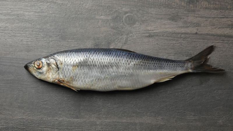 7 loài cá quen thuộc giàu omega-3 không kém cá hồi 7 loài cá quen thuộc giàu omega-3 không kém cá hồi