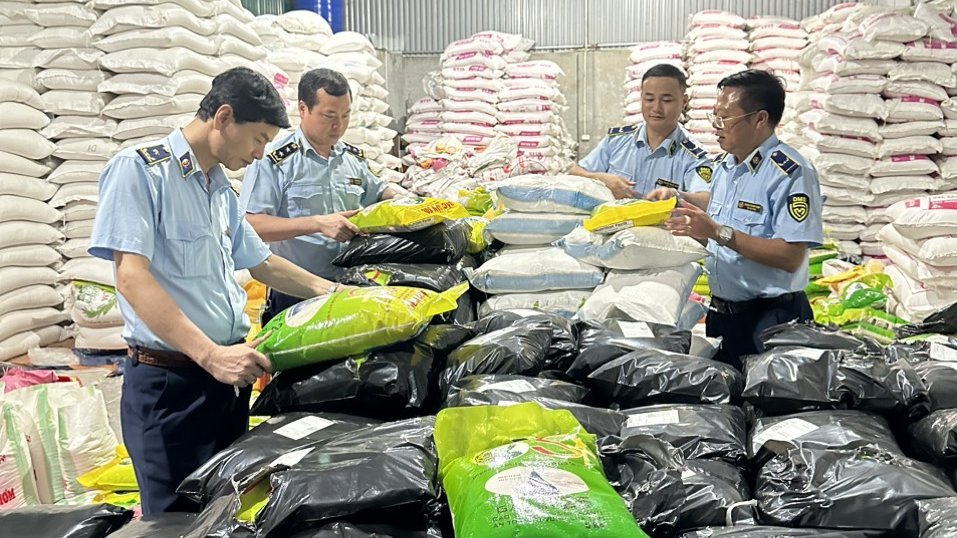 Cơ quan chức năng kiểm tra sản phẩm gạo làm nhái. Ảnh: TG Cơ quan chức năng kiểm tra sản phẩm gạo làm nhái. Ảnh: TG