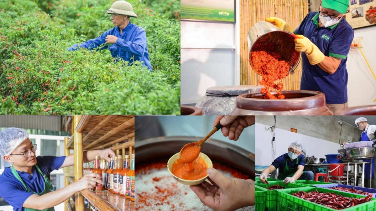 Thay vì sản xuất công nghiệp, hàng chục chum sành được sử dụng để ủ lên men tự nhiên từ 3-6 tháng, giúp tương ớt Spico giữ trọn hương vị truyền thống và đảm bảo tiêu chí không phụ gia