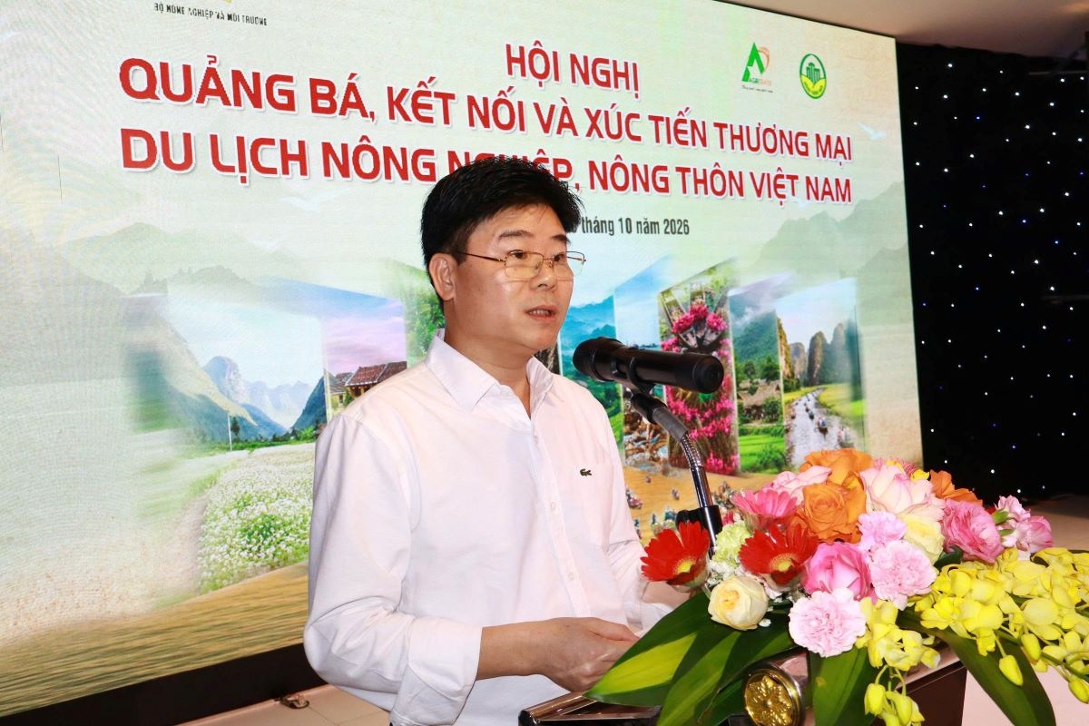 Ông Phương Đình Anh phát biểu tại hội nghị