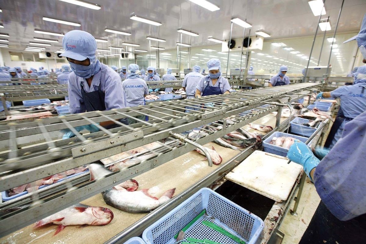 Dòng vốn xanh dương đang mở thêm cơ hội cho ngành tôm đầu tư công nghệ, giảm phát thải ảnh: minh họa Dòng vốn xanh dương đang mở thêm cơ hội cho ngành tôm đầu tư công nghệ, giảm phát thải ảnh: minh họa