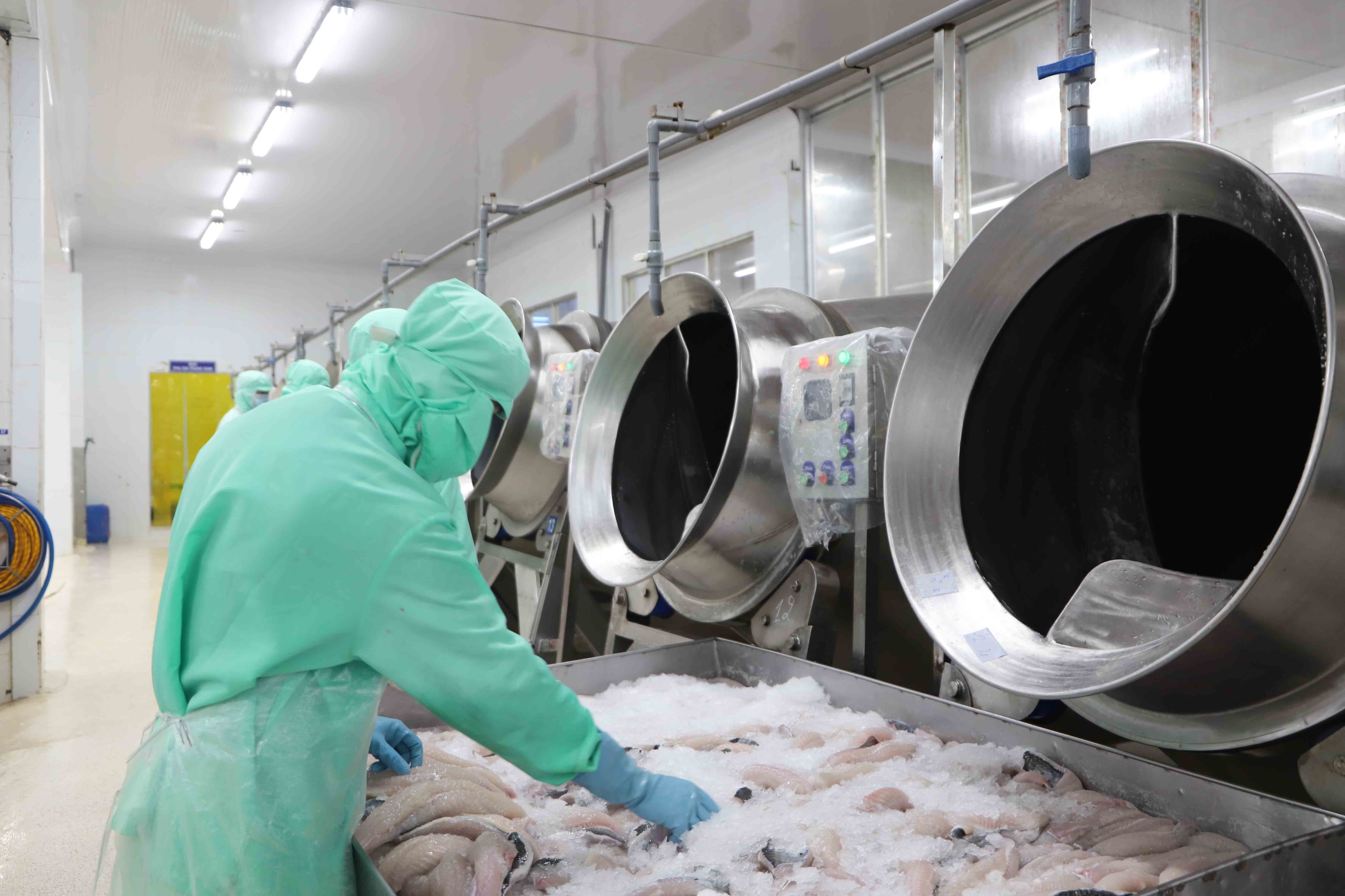 UOB nâng dự báo tăng trưởng kinh tế Việt Nam lên 9,2%