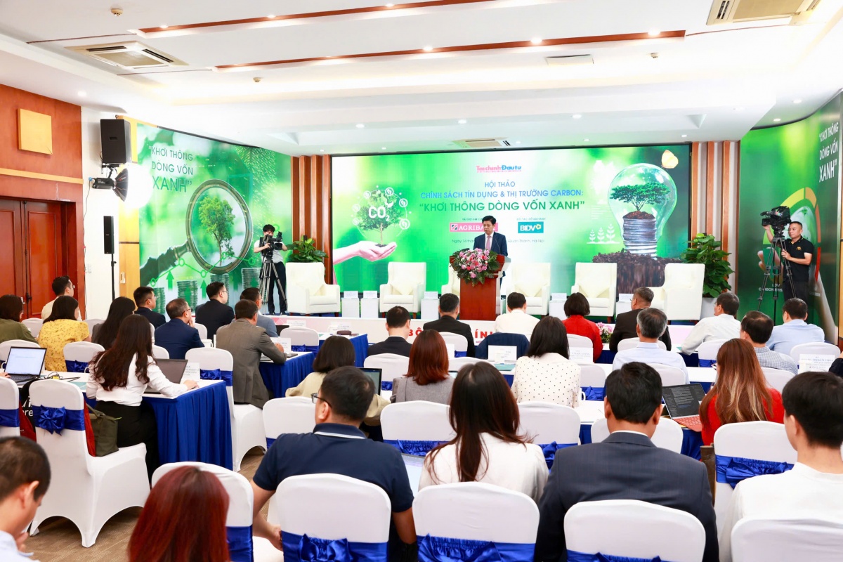 Phát triển thị trường các-bon, giảm áp lực lên tín dụng xanh