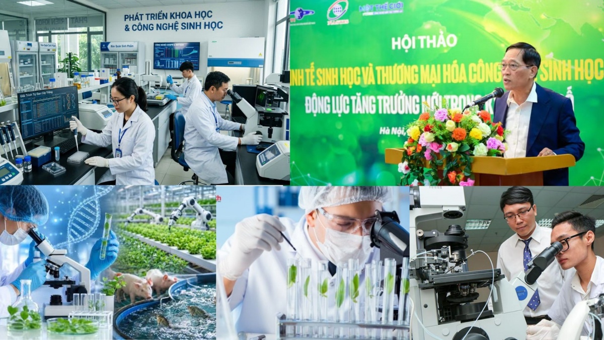 Rút ngắn khoảng cách từ phòng thí nghiệm đến thị trường là chìa khóa để kinh tế sinh học bứt phá Rút ngắn khoảng cách từ phòng thí nghiệm đến thị trường là chìa khóa để kinh tế sinh học bứt phá