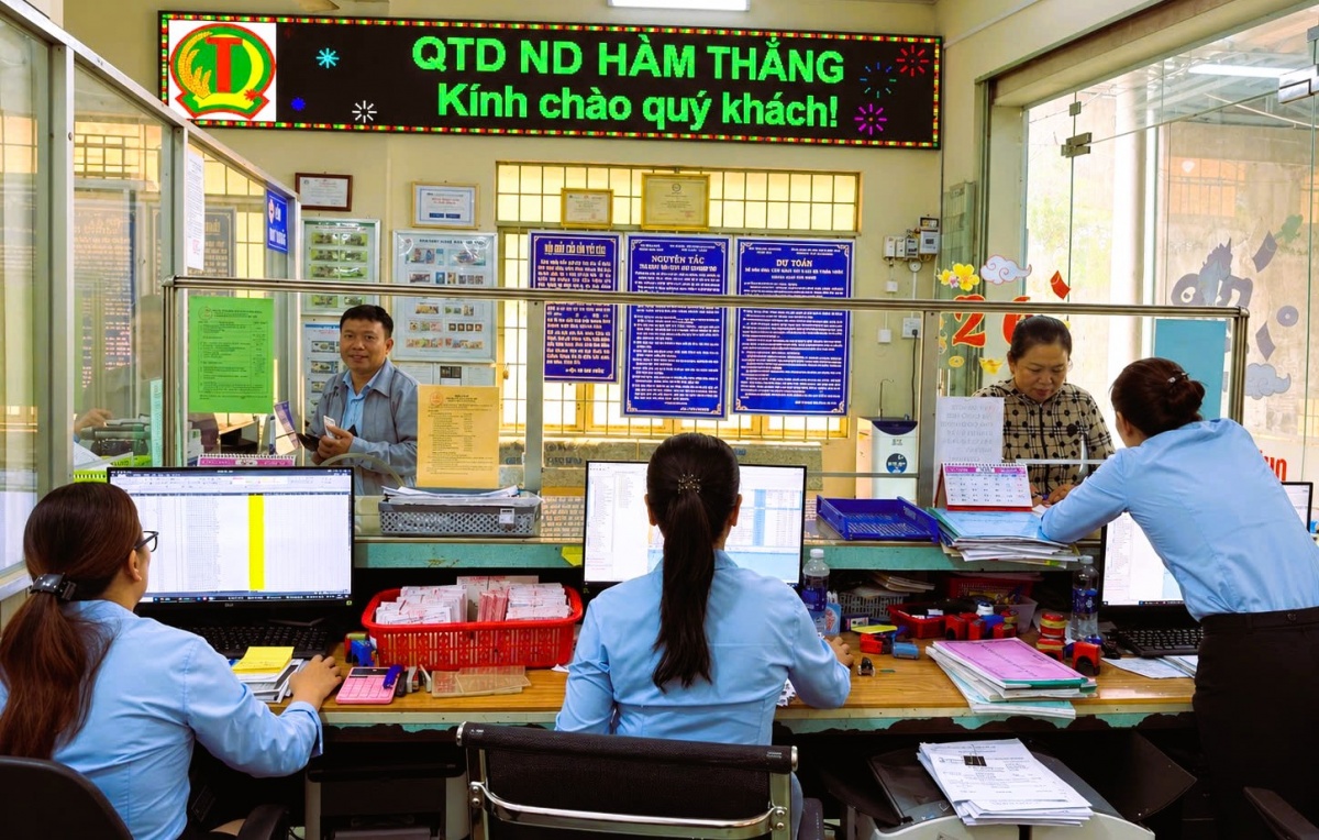 Tái cơ cấu hệ thống quỹ tín dụng nhân dân, hướng đến hoạt động an toàn, bền vững