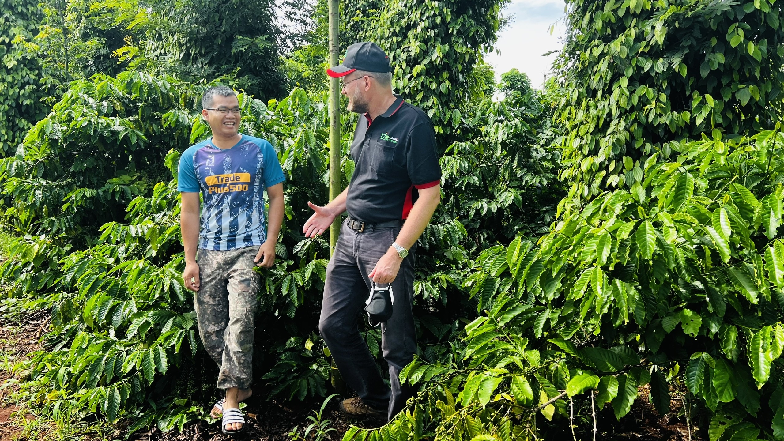 Chương trình Agripreneurship-Nescafé Plan không những giúp cải thiện sinh kế mà còn giúp trang bị những kiến thức khoa học về canh tác cà phê bền vững cho nông dân.